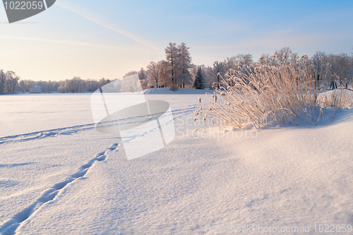 Image of Winter park panorama