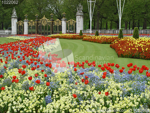 Image of Flowers near Buckingham palace