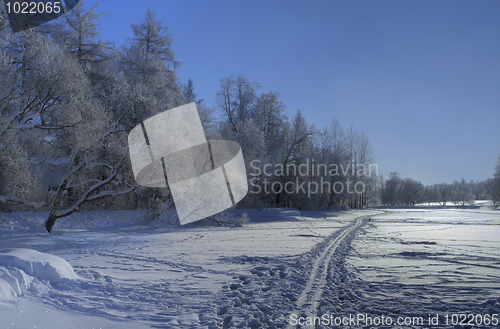 Image of Winter bright landscape