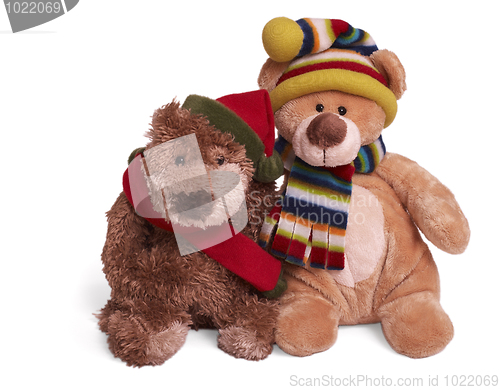 Image of Soft teddy bear couple