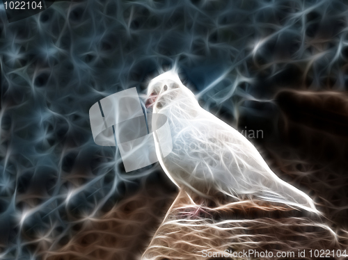 Image of Electrical light dove.