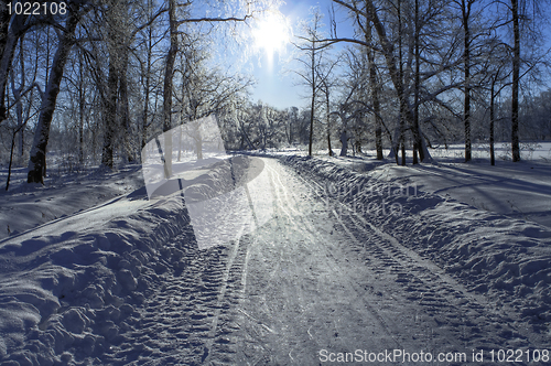 Image of Snow path and Sun