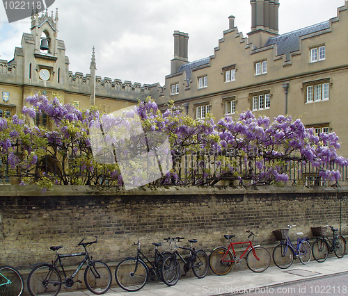 Image of Cambridge bicycles