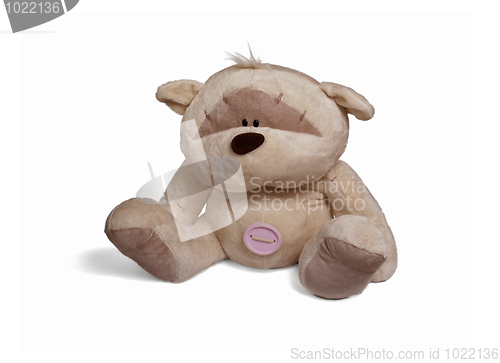 Image of Soft teddy bear