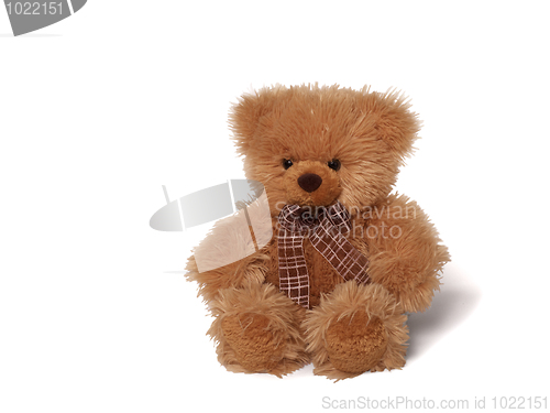 Image of Soft teddy bear