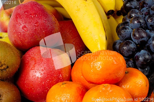 Image of Fruits2a