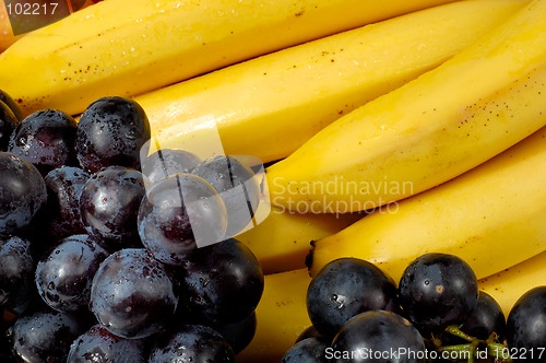 Image of Fruits 2b