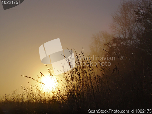 Image of Could winter morning