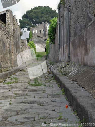 Image of Red flower at Pompeii's road