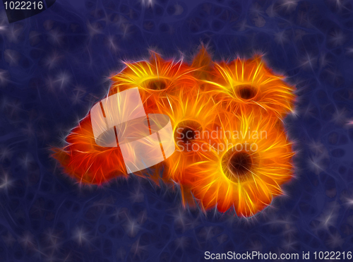 Image of calendula Fractal flower buquet