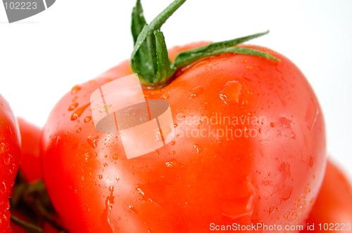 Image of Tomato 1