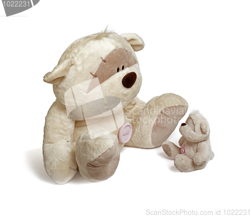 Image of Soft teddy bear couple