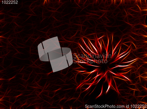 Image of abstract bright  flower at dark background