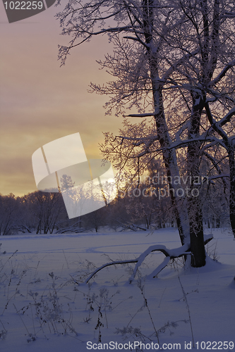 Image of Beautiful sunset in winter park