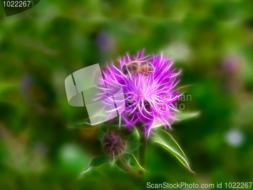 Image of Fractal bee at flower