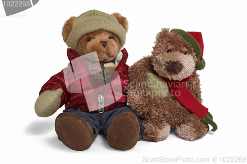 Image of Soft teddy bear couple