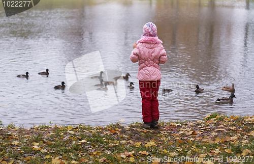 Image of girl feeding ducks at a lake