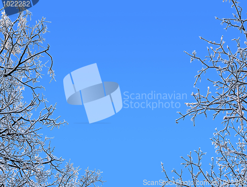 Image of Winter  framework isolated on blue background