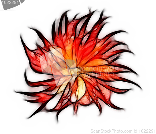 Image of Fractal red dahlia flower