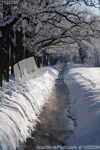 Image of Winter park stream in snow