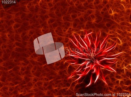 Image of abstract red flower at crimson background