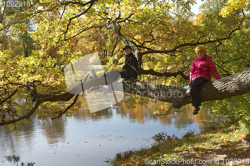 Image of Sister and brother sitting on the tree