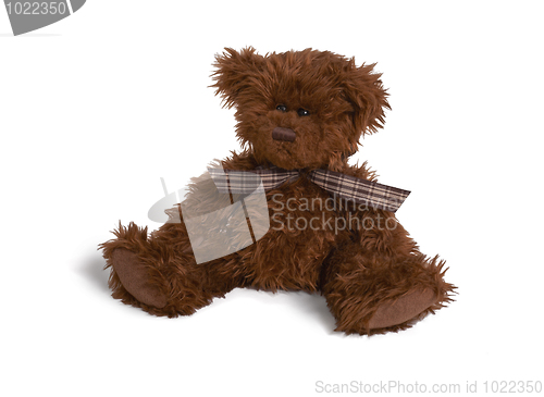Image of Soft teddy bear