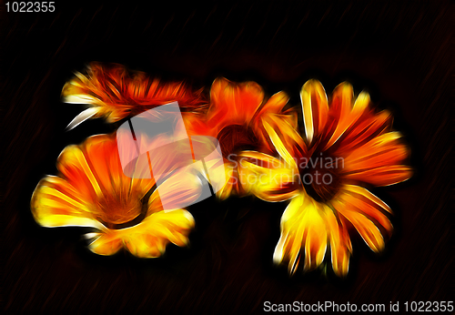 Image of Orange Fractal flower