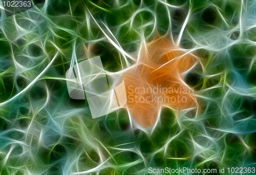 Image of Abstrack fractal autumn maple leaf on green