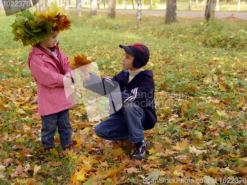 Image of Autumn flowers bouquet