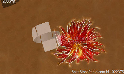 Image of Fractal red dahlia flower