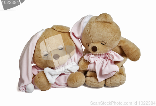 Image of Soft teddy bear couple