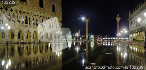 Image of Water ecology in Venice