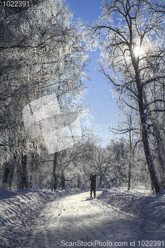Image of Photographer in  a frozen park.