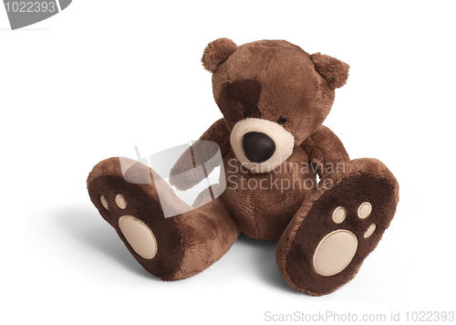 Image of Soft teddy bear