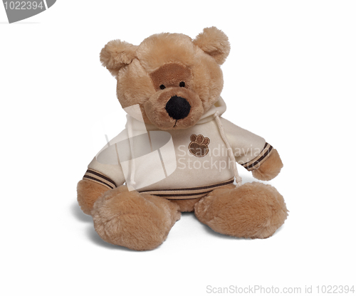 Image of Soft teddy bear