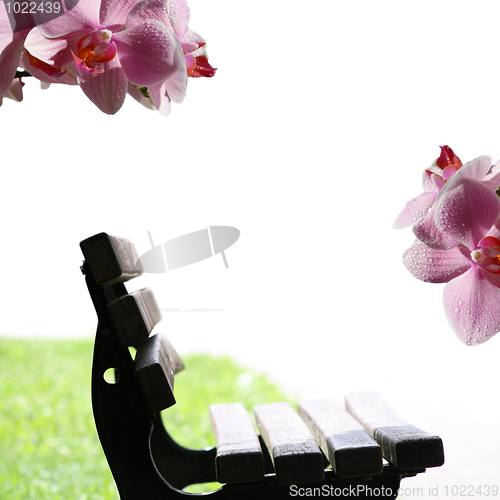 Image of Bench
