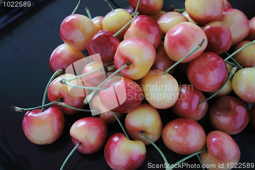 Image of Rainier cherries on black