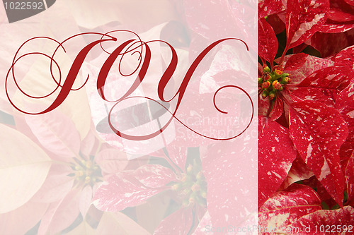 Image of Christmas poinsettias with joy word