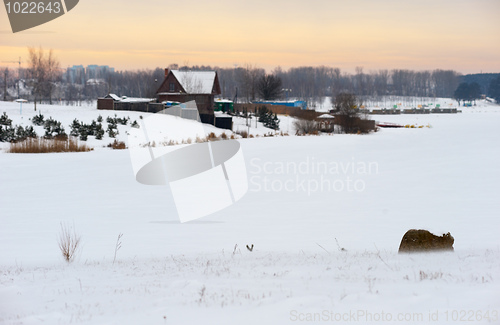 Image of Winter evening