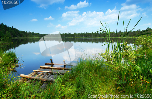Image of Lake in the forest