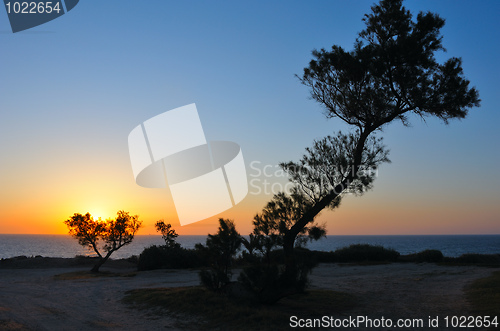 Image of Sunset over the sea