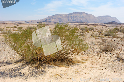 Image of Makhtesh Ramon, Negev desert