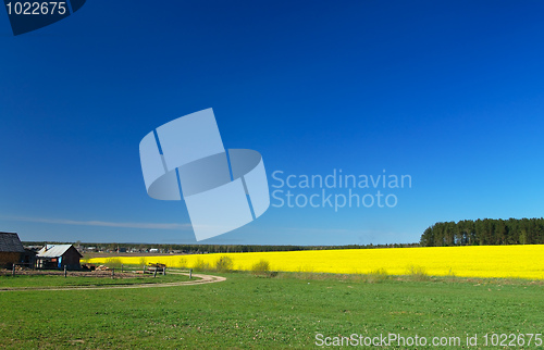 Image of Spring in the Country