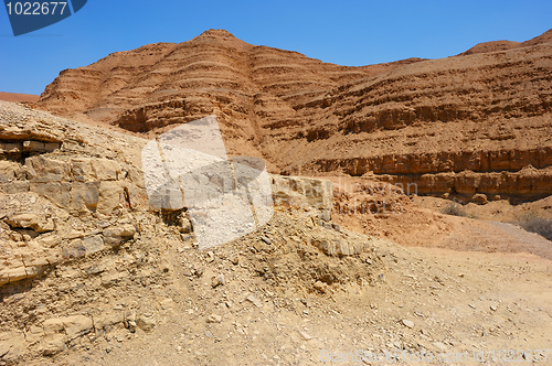 Image of Stones of Makhtesh Ramon