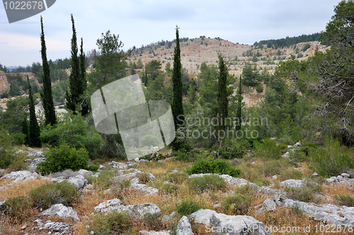 Image of Landscape Israel