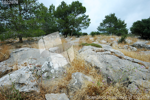 Image of Landscape Israel