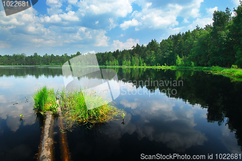 Image of Lake in the forest