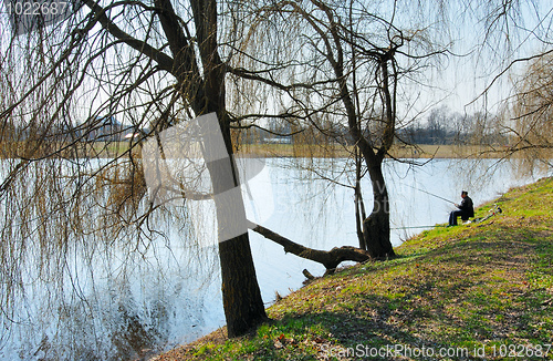 Image of The shore of the lake in spring