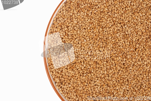 Image of Sesame
